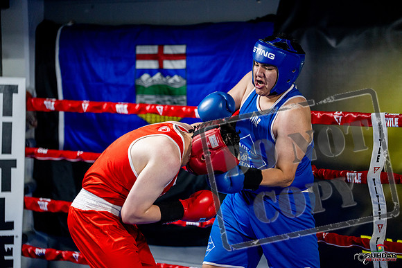 Cougar boxing June 7th 2025-0750
