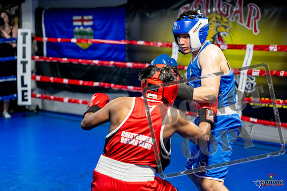 Cougar boxing June 7th 2025-0326