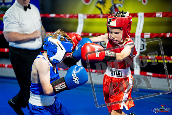 Cougar boxing June 7th 2025-0067
