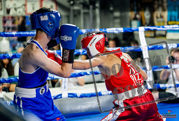 Cougar boxing June 7th 2025-0107