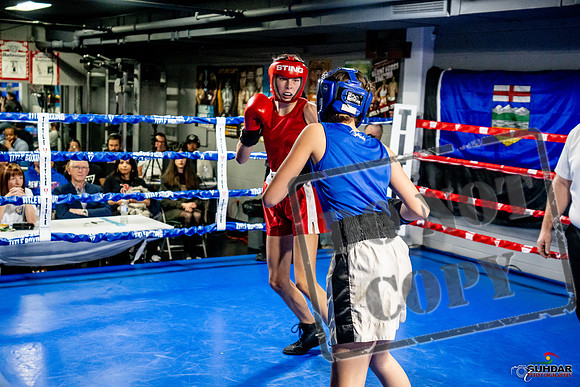 Cougar Boxing Basement Brawl -0583