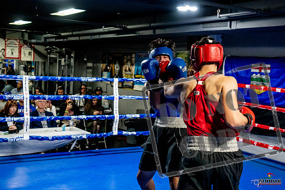 Cougar Boxing Basement Brawl -0677