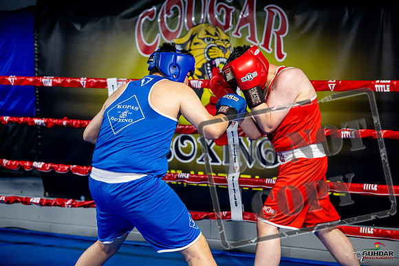 Cougar boxing June 7th 2025-0735