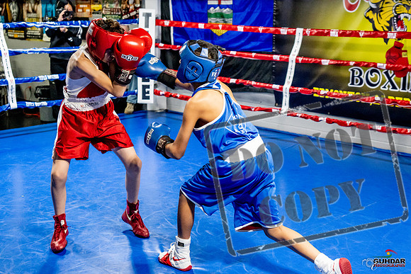 Cougar Boxing Basement Brawl -0320