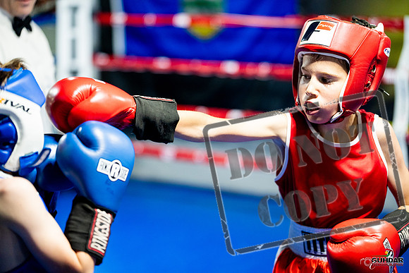 Cougar boxing June 7th 2025-0076