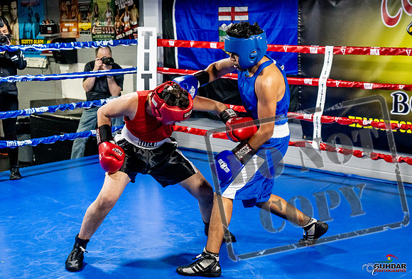 Cougar Boxing Basement Brawl -0607