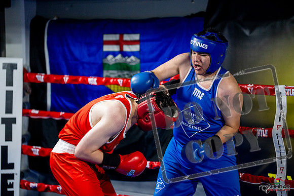 Cougar boxing June 7th 2025-0749