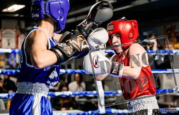 Cougar Boxing Basement Brawl -0029