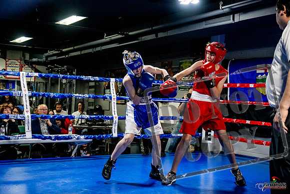 Cougar Boxing Basement Brawl -0182