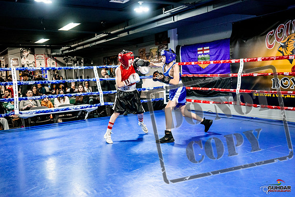 Cougar Boxing Basement Brawl -0009