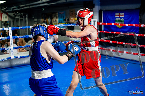 Cougar boxing June 7th 2025-0919
