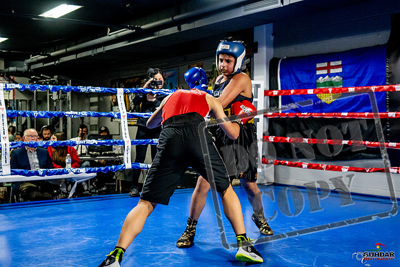 Cougar Boxing Basement Brawl -0296