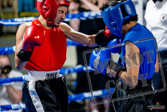 Cougar boxing June 7th 2025-0180