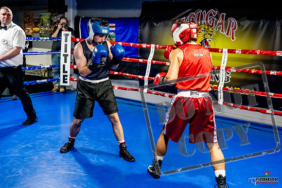 Cougar Boxing Basement Brawl -0415