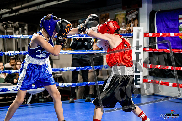 Cougar Boxing Basement Brawl -0027