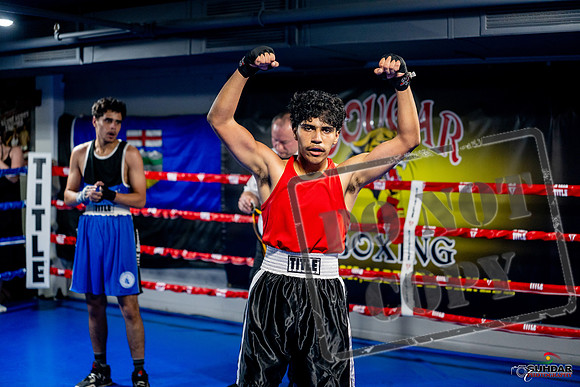 Cougar boxing June 7th 2025-0642