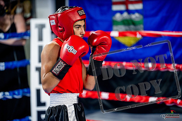 Cougar boxing June 7th 2025-0166