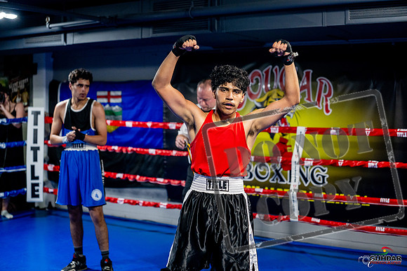 Cougar boxing June 7th 2025-0641