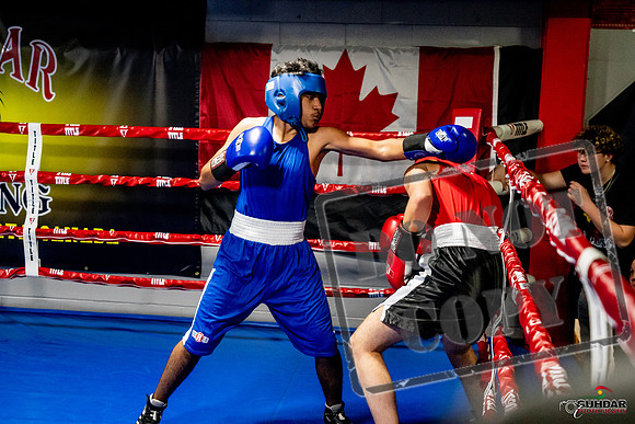 Cougar Boxing Basement Brawl -0629
