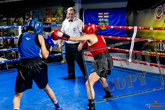 Cougar Boxing Basement Brawl -0550