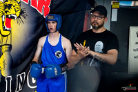Cougar boxing June 7th 2025-0005