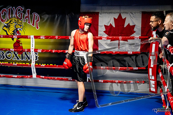 Cougar Boxing Basement Brawl -0135