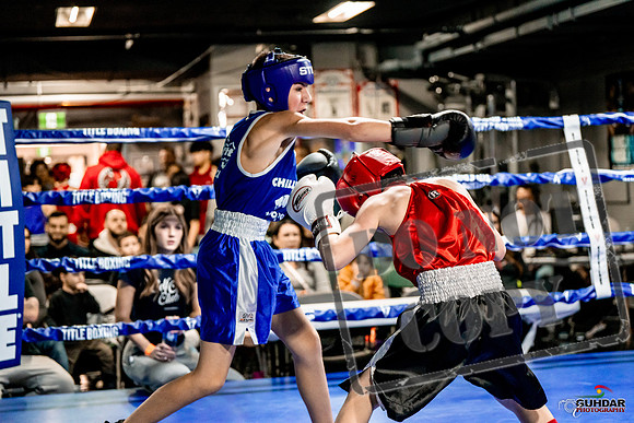Cougar Boxing Basement Brawl -0032