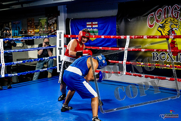 Cougar Boxing Basement Brawl -0618