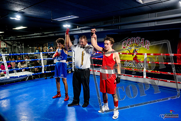 Cougar Boxing Basement Brawl -0473