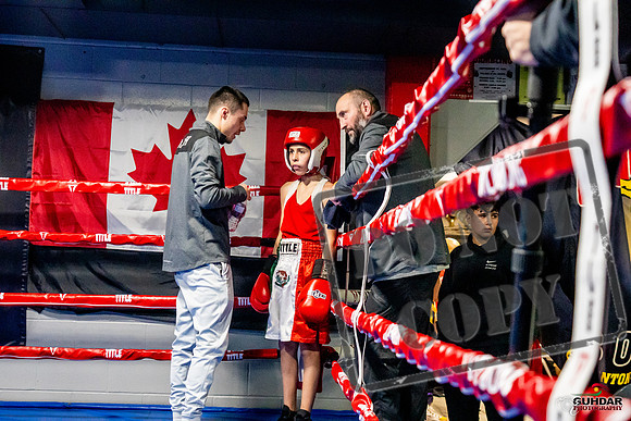 Cougar Boxing Basement Brawl -0056