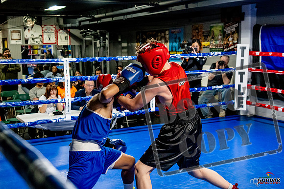 Cougar Boxing Basement Brawl -0533