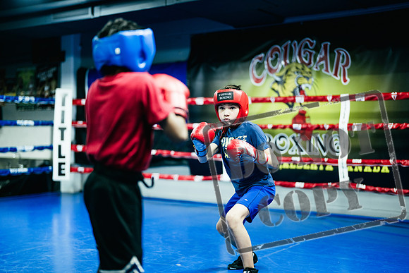 Cougar Boxing -0005