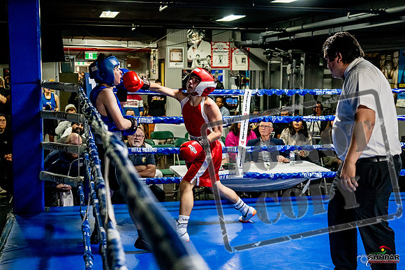 Cougar Boxing Basement Brawl -0494