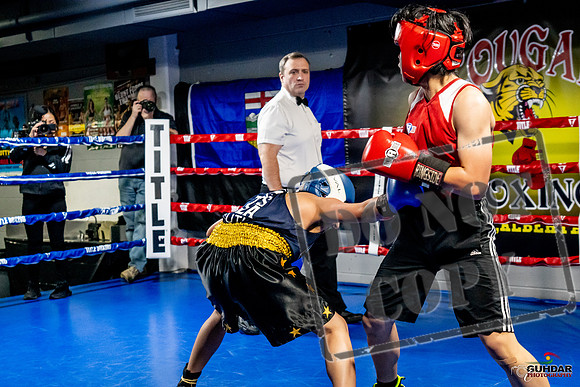 Cougar Boxing Basement Brawl -0304