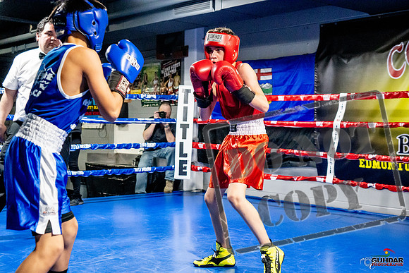 Cougar Boxing Basement Brawl -0247