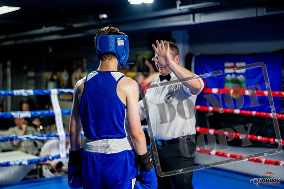 Cougar boxing June 7th 2025-0818