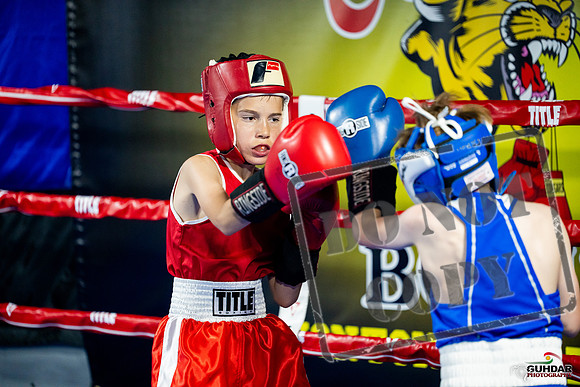 Cougar boxing June 7th 2025-0032