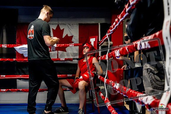 Cougar Boxing Basement Brawl -0199