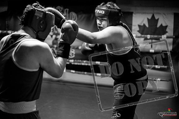 Cougar boxing June 7th 2025-0771