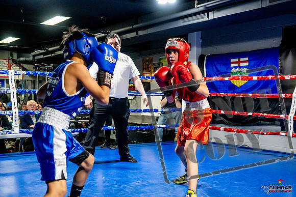 Cougar Boxing Basement Brawl -0250