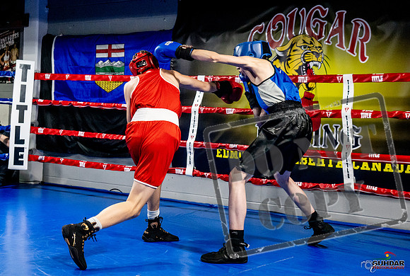 Cougar Boxing Basement Brawl -0111