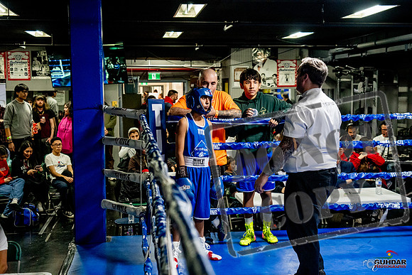Cougar Boxing Basement Brawl -0315