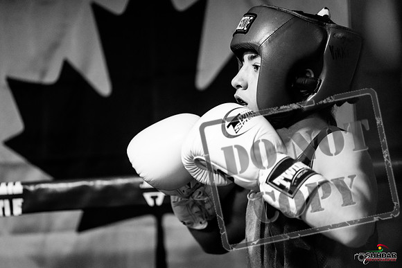 Cougar Boxing Basement Brawl -0012