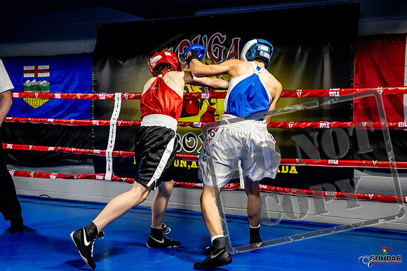 Cougar Boxing Basement Brawl -0152