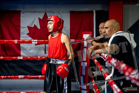 Cougar boxing June 7th 2025-0153