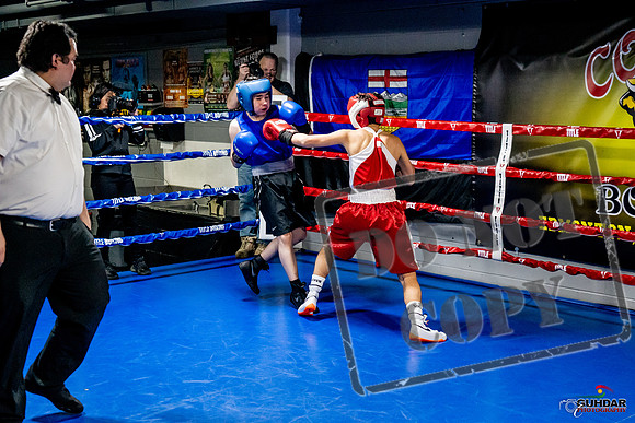 Cougar Boxing Basement Brawl -0480