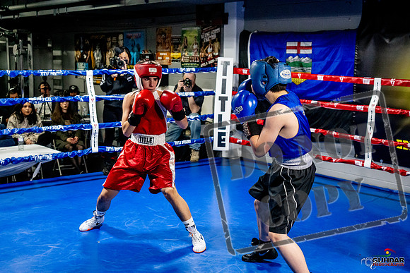 Cougar Boxing Basement Brawl -0490