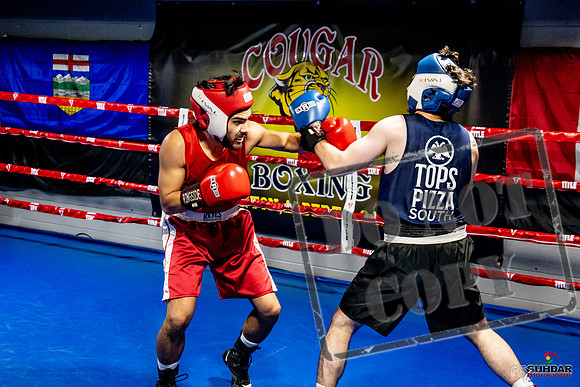 Cougar Boxing Basement Brawl -0376