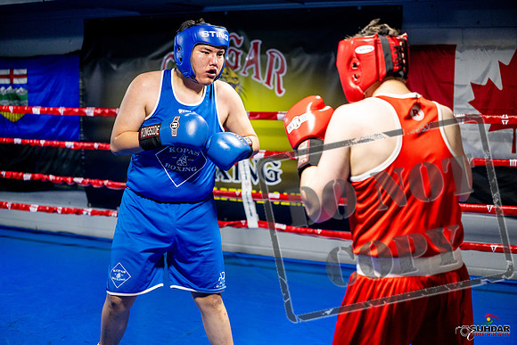 Cougar boxing June 7th 2025-0776