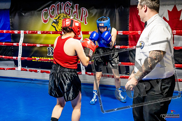 Cougar Boxing Basement Brawl -0564